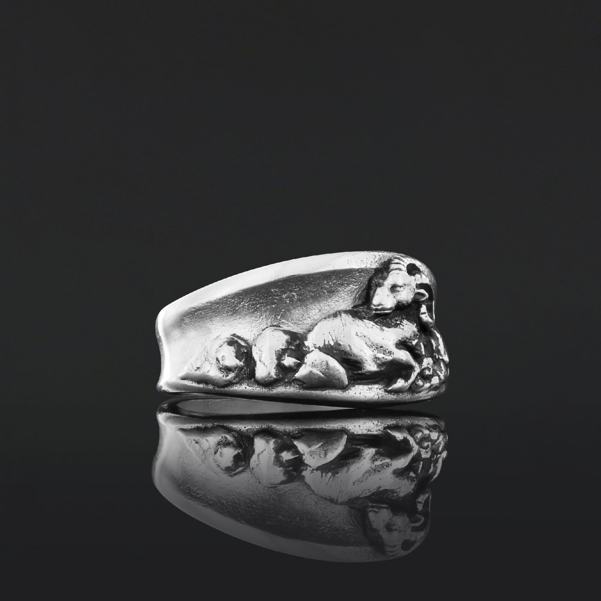 Burcunuza Özel Doğum Haritalı Koç Burcu Kadın Yüzük Burcunuza Özel Doğum Haritalı Koç Burcu Kadın Yüzük