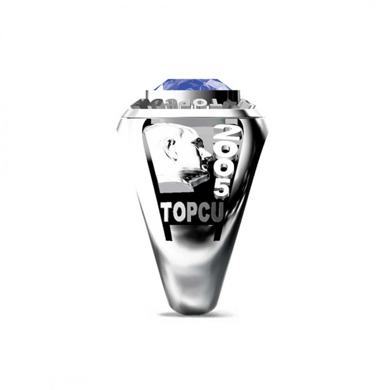 Topçu Füze Okulu Yüzüğü 2005 - 301. Dönem