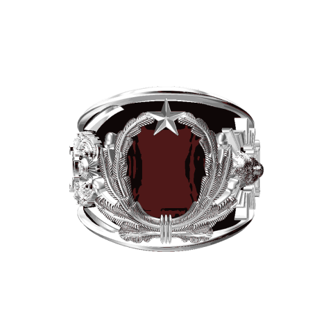 Jandarma Sahil Güvenlik Akademisi Yüzüğü IV JSGA